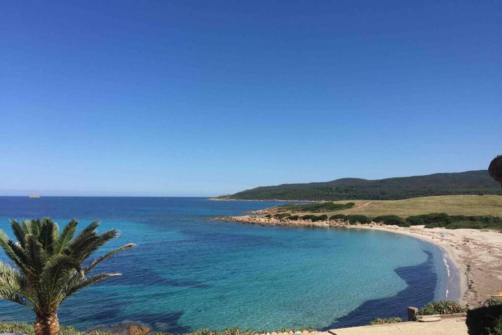 Ajaccio Charmant T2 neuf 40m2 avec balcon au Trottel wifi Clim parking plage à pieds 100m Esterno foto