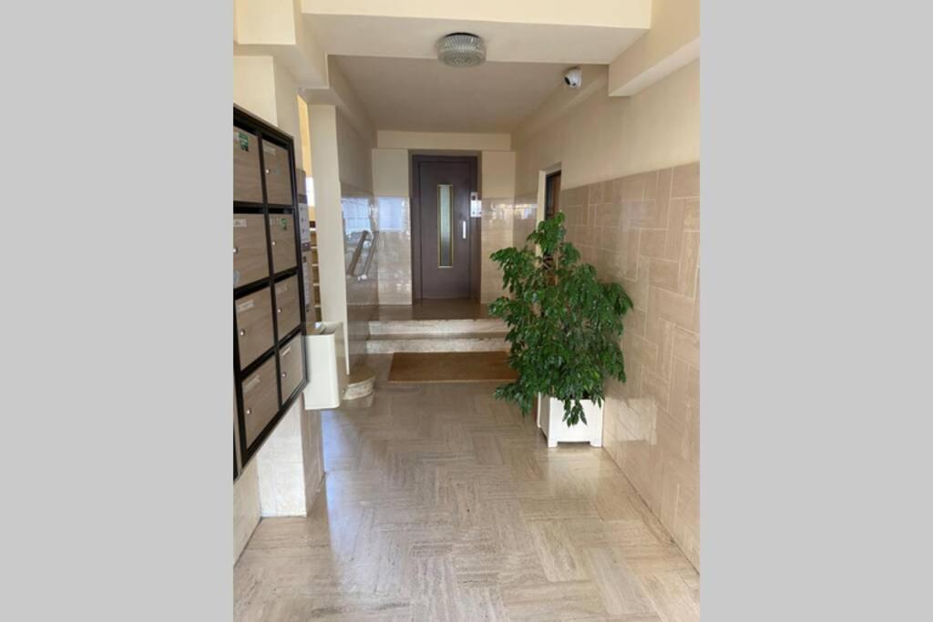 Ajaccio Charmant T2 neuf 40m2 avec balcon au Trottel wifi Clim parking plage à pieds 100m Esterno foto