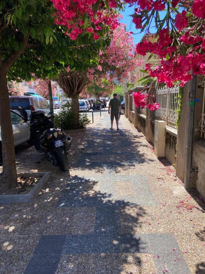 Ajaccio Charmant T2 neuf 40m2 avec balcon au Trottel wifi Clim parking plage à pieds 100m Esterno foto