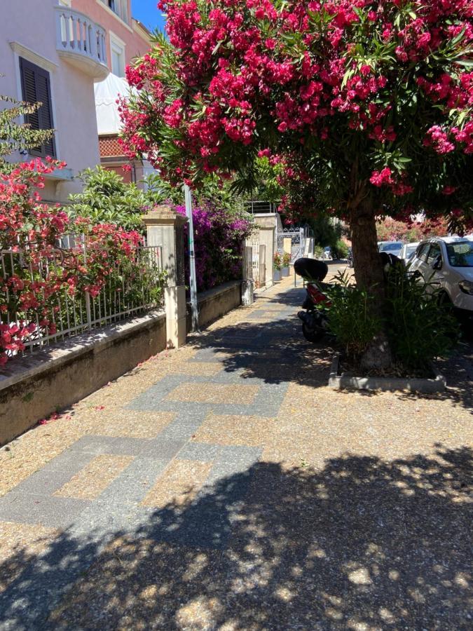 Ajaccio Charmant T2 neuf 40m2 avec balcon au Trottel wifi Clim parking plage à pieds 100m Esterno foto