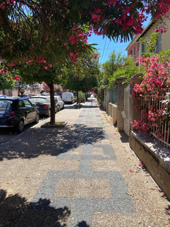 Ajaccio Charmant T2 neuf 40m2 avec balcon au Trottel wifi Clim parking plage à pieds 100m Esterno foto